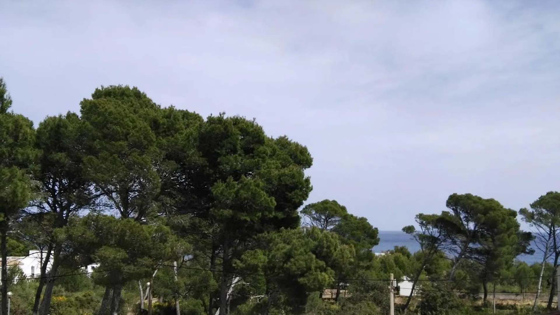 Ferienhaus In Pedruscada Mit Privatem Pool Cala Ratjada  Semesterbostad