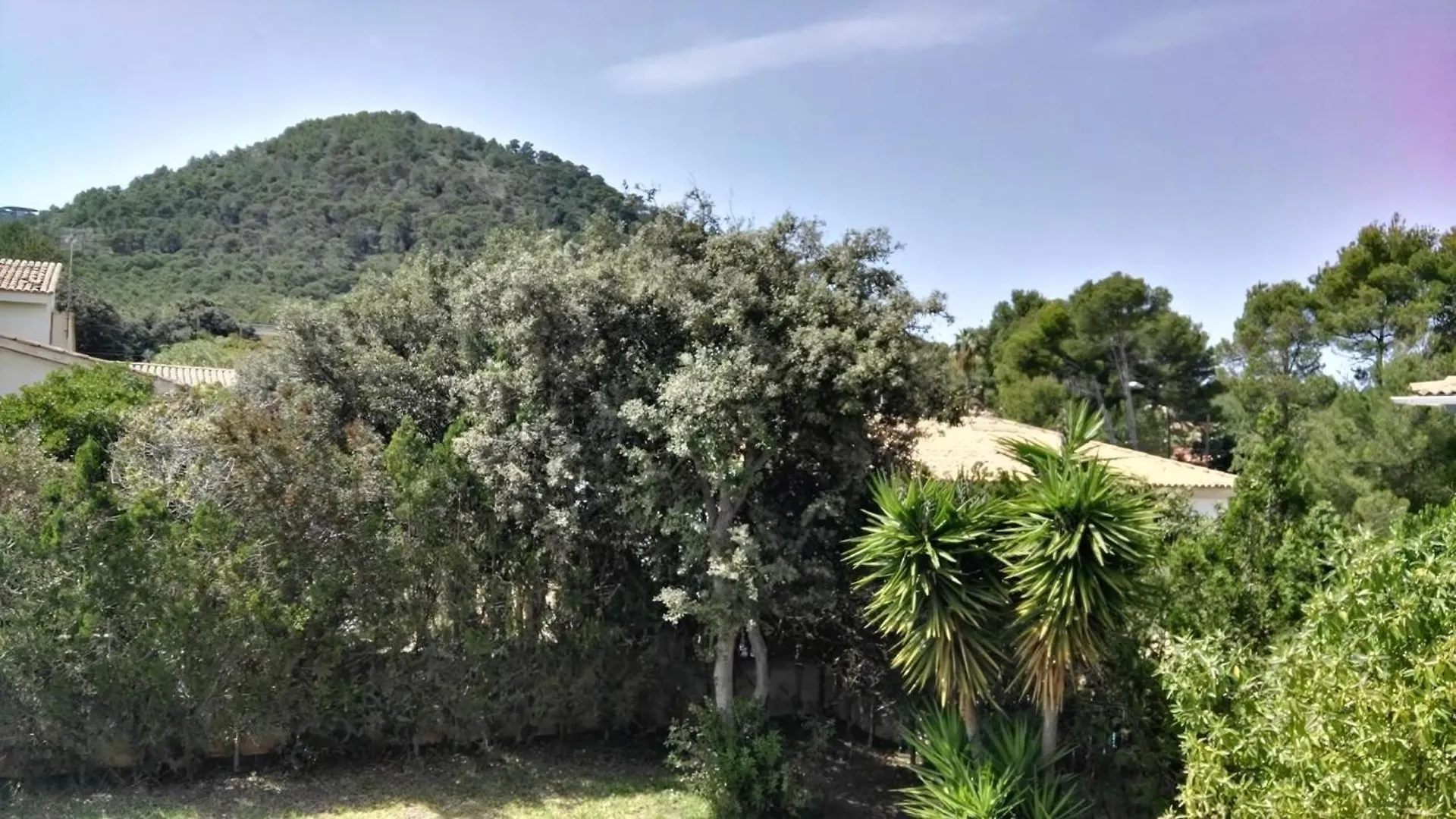 Semesterbostad Ferienhaus In Pedruscada Mit Privatem Pool Cala Ratjada