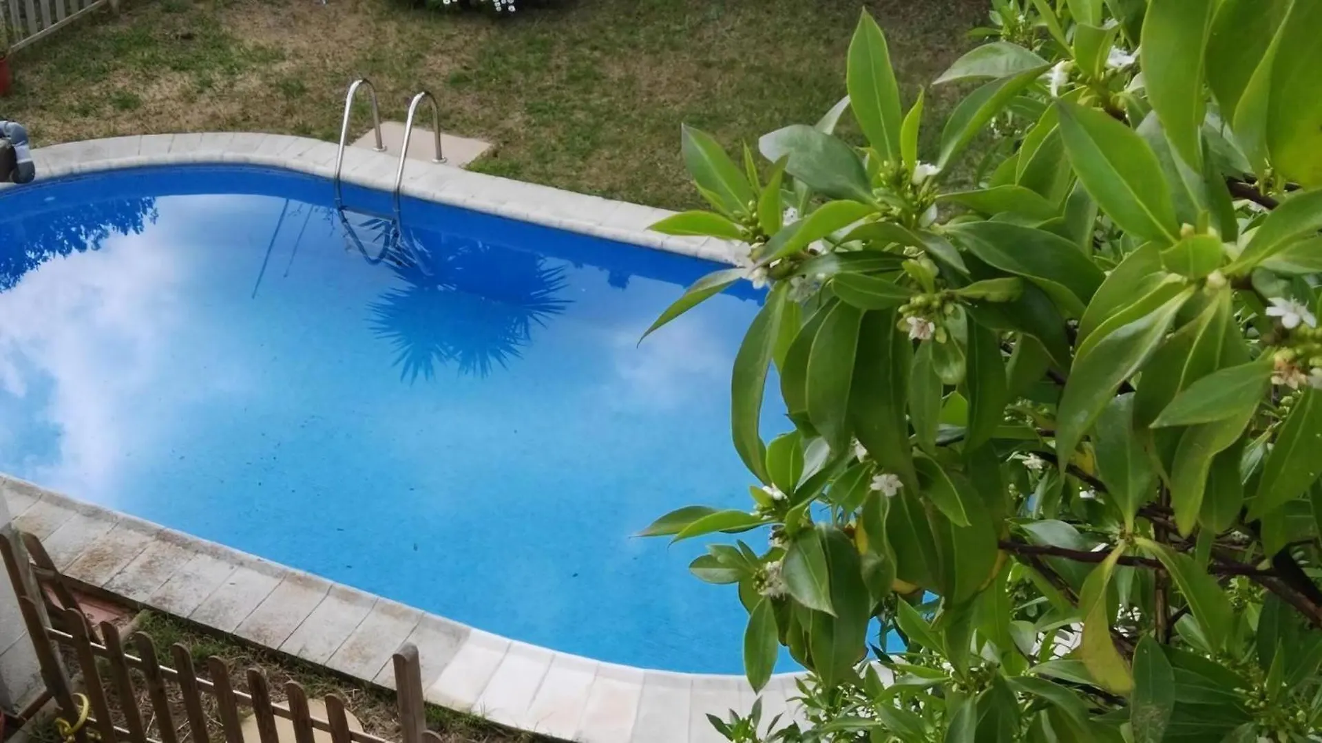 Ferienhaus In Pedruscada Mit Privatem Pool Cala Ratjada  Holiday home Cala Ratjada (Mallorca)